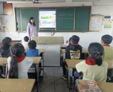 这些种子会生根抽芽、