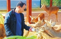 <b>每亩年产量超00斤</b>